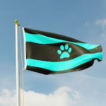 A4AFURRY Profile Picture
